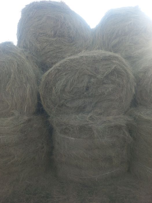 Продам Сено рулонная