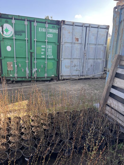 Контейнеры 20 и 40 тонники