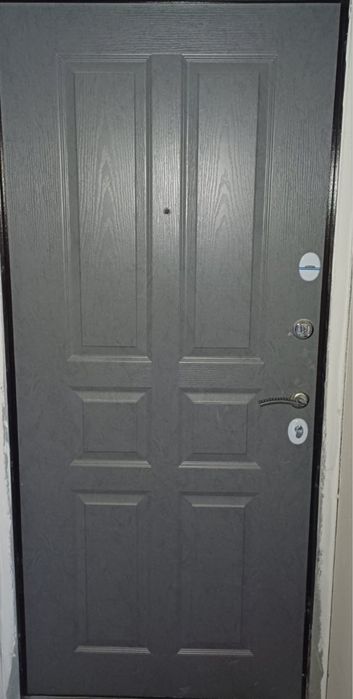Дверь торекс входная