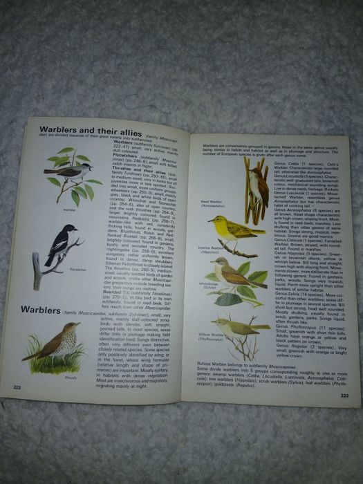 Уникален! Определител на птиците The Hamlyn Guide to Birds
