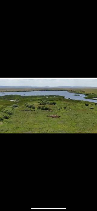 Крестьянское хозяйство