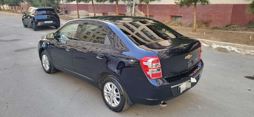 Cobalt darkmoon blue