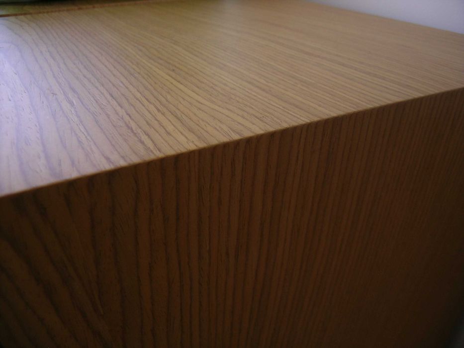 Хорни с FOSTEX FE206En