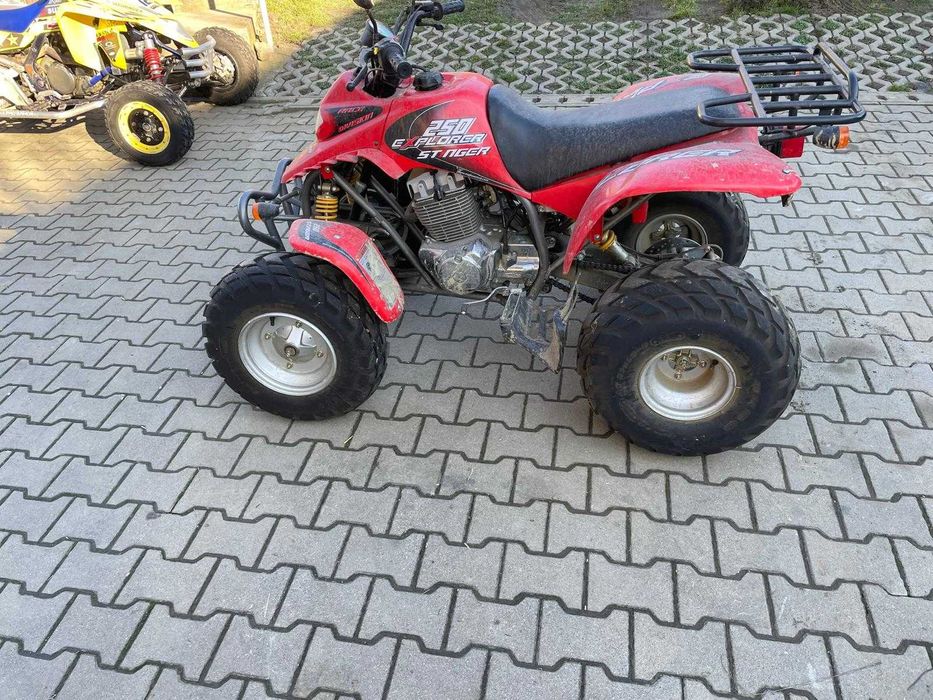 Quad Stinger 250