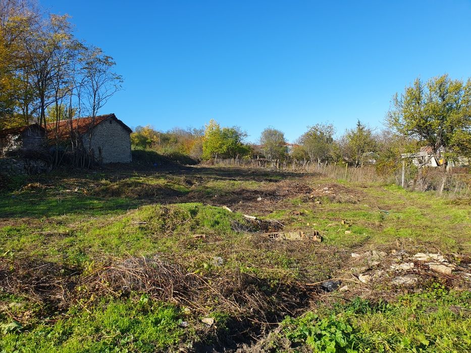 Рязане на храсти,растителности ,опасни  дървета ,парцели и дворове