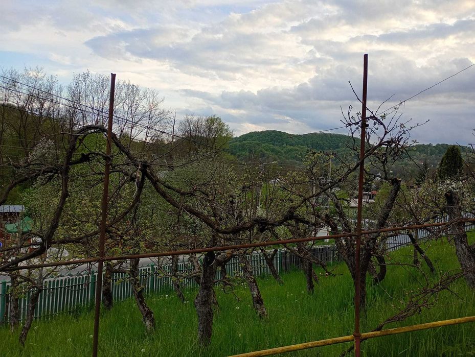 Vand casa Provita de Jos,(P+E+M), avand teren 3250 mp, livada pe rod, la drumul principal, 3 camere (potential de 6)