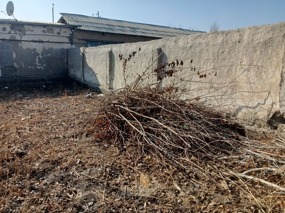 Продам утин дрова