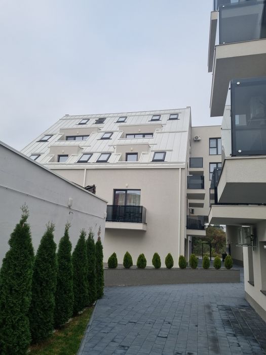 Vand fereastra mansarda