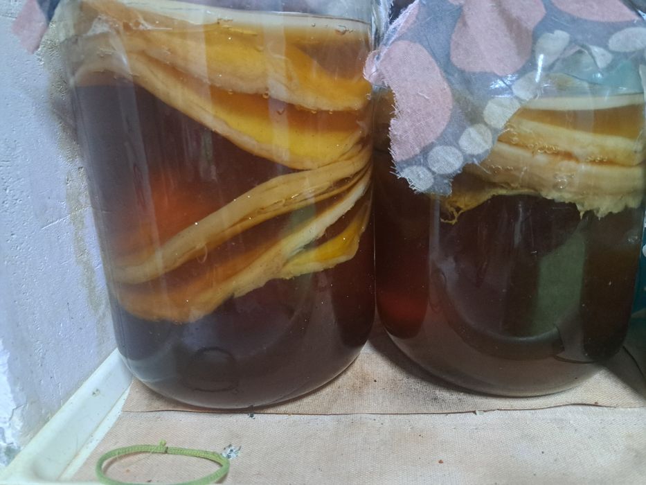 Отдам гриб в добрые руки.