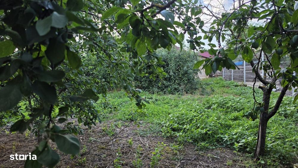 Casă cu potențial, 4 camere, lângă pădure-Jud Giurgiu-Mihai Bravu.
