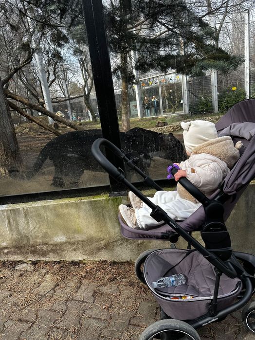Easywalker Harvey 5 Premium - Granite Purple в отлично състояние