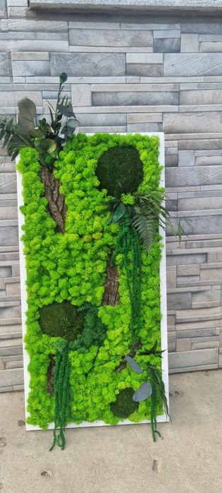 Tablou/panou cu licheni naturali stabilizati