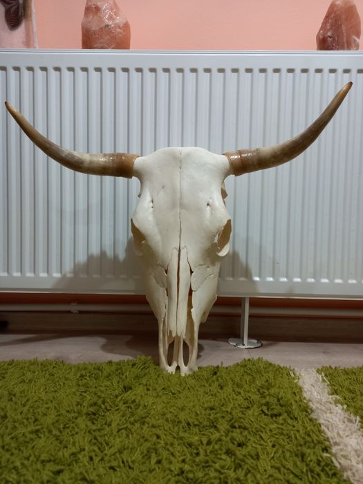 Obiecte de Colecție