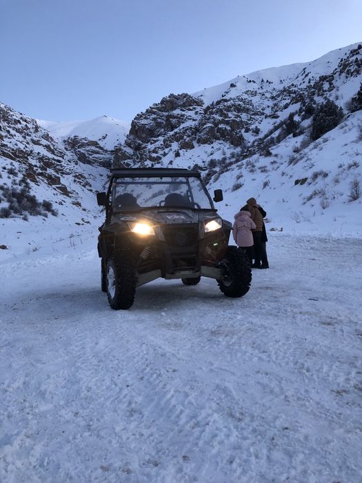 БАГГИ   RM. 800 UTV 4x4