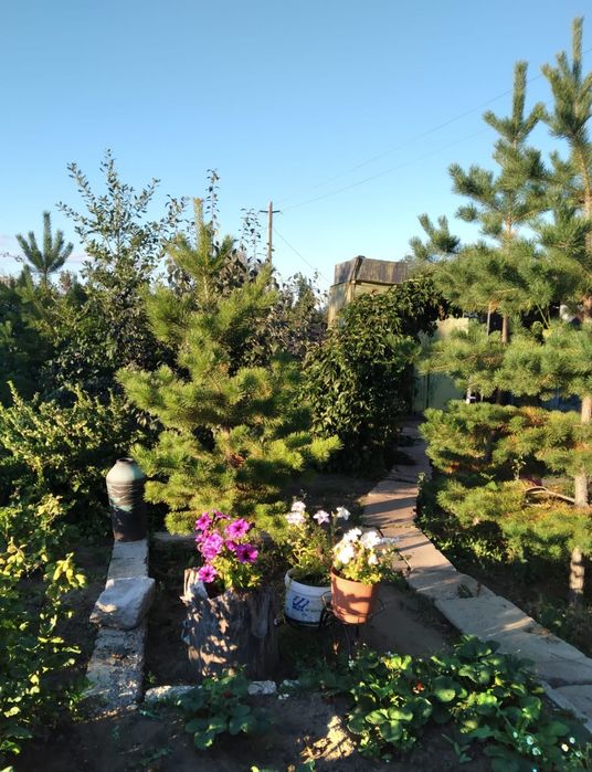 Продам красивую  дачу