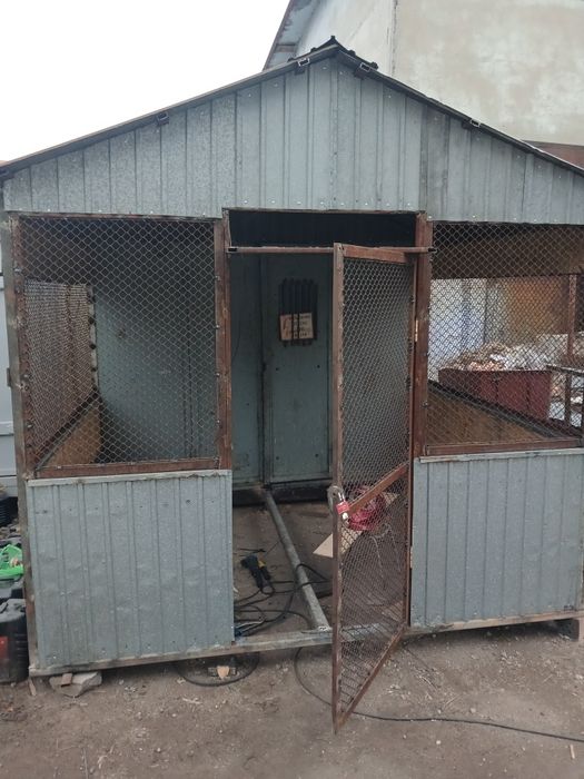 Продам голубят. Голубятник