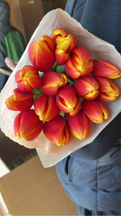 Тюльпаны оптом Беларусь