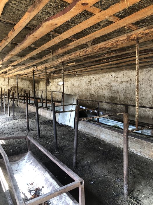 Фазенда Сатылады Откорм Баз