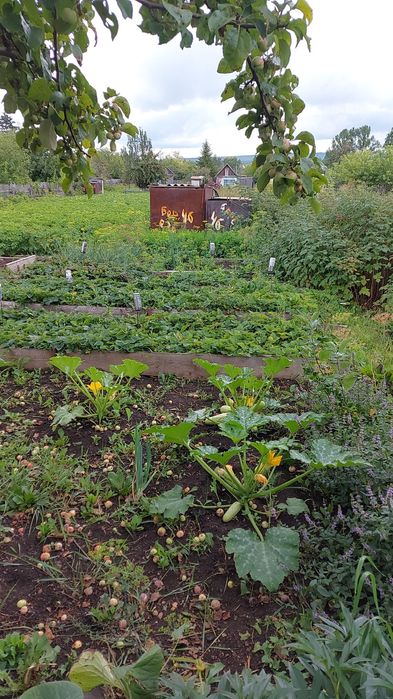 Продам дачный участок