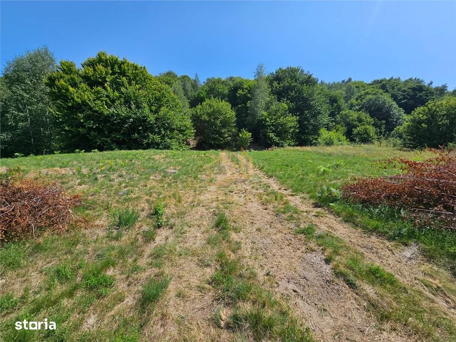 Alzza Real Estate – Teren intravilan de vanzare in Salicea, Cluj – 117