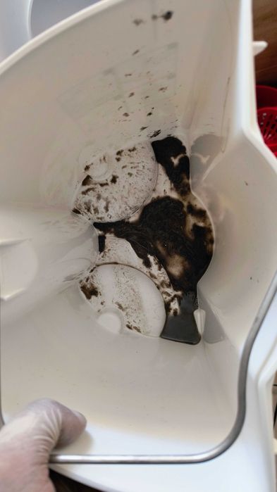 deep cleanning and deatailing