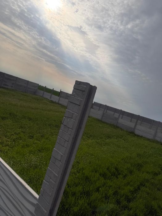 Teren in Posta la doar 10 minute de bucuresti