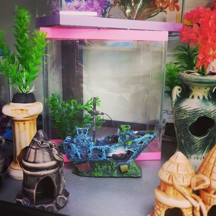 Рыбки в Афалине.АльФараби Навои