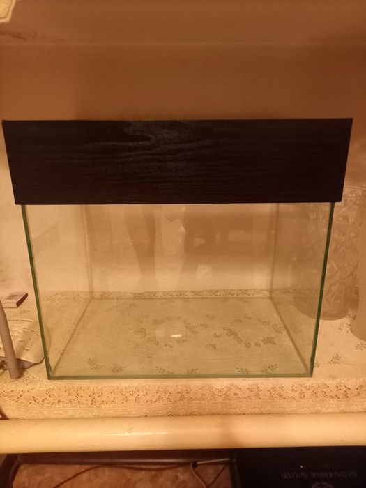 Аквариум  и рыбки