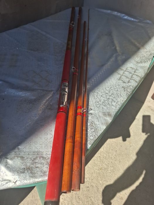 Bologneza 4 segmenti!