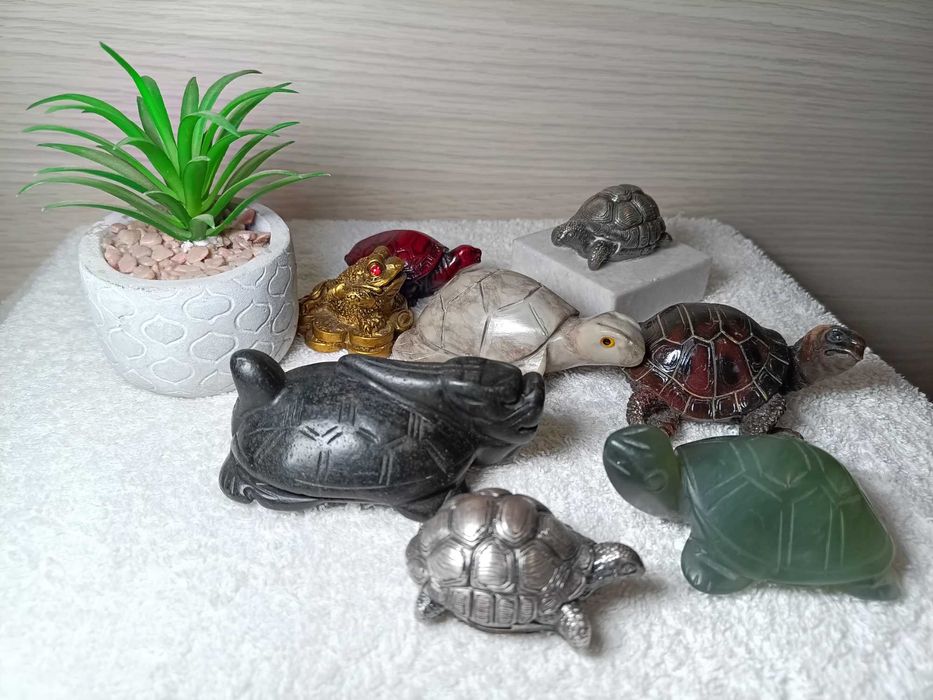 broscute pentru ornament