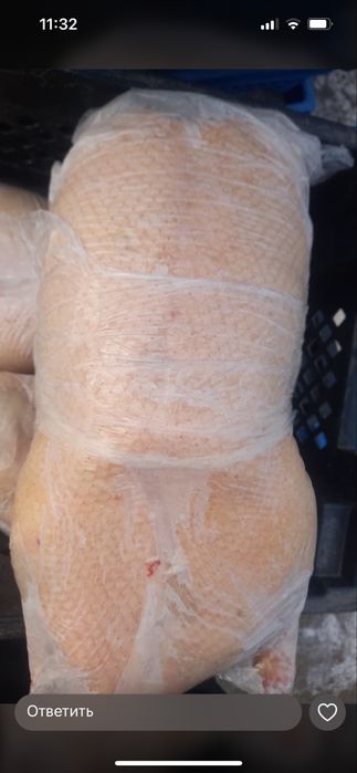 Продам мясо гуся