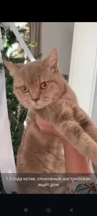 Мальчики 1-1,5 года