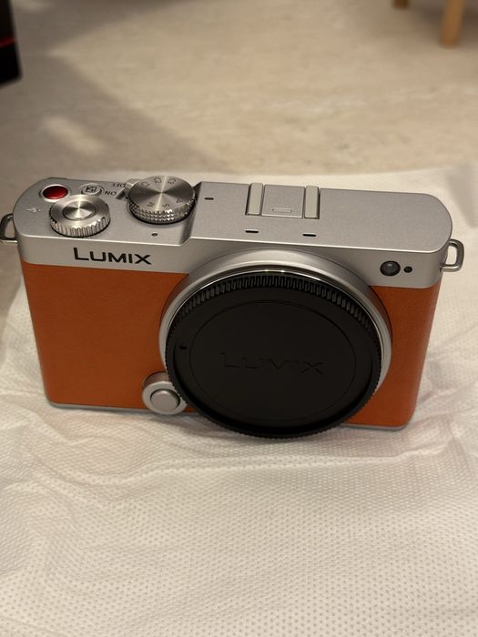 Panasonic Lumix S9