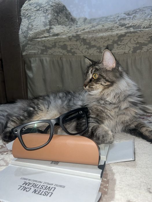 Продам очки ray-ban meta.