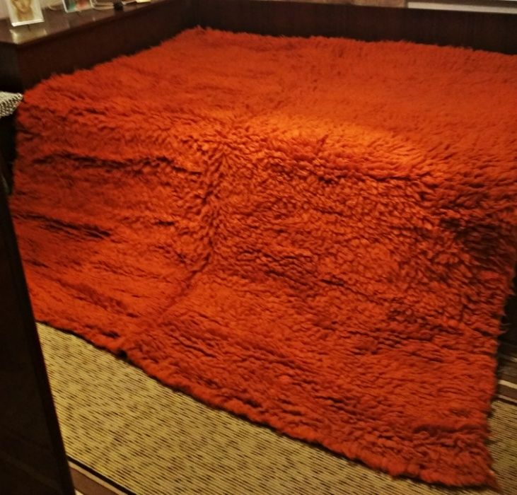 Прекрасен оранжев китеник/губер