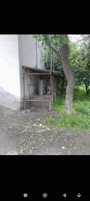 300 tonnalik muzlatkich ijaraga beriladi.