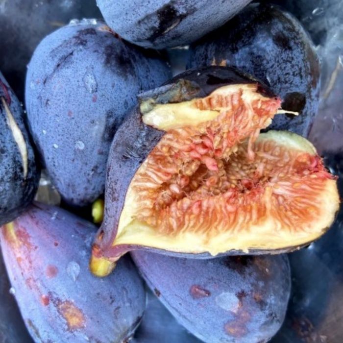 Smochin (Black Mission )