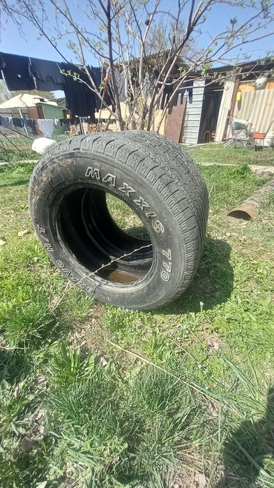 Всесезооные шины