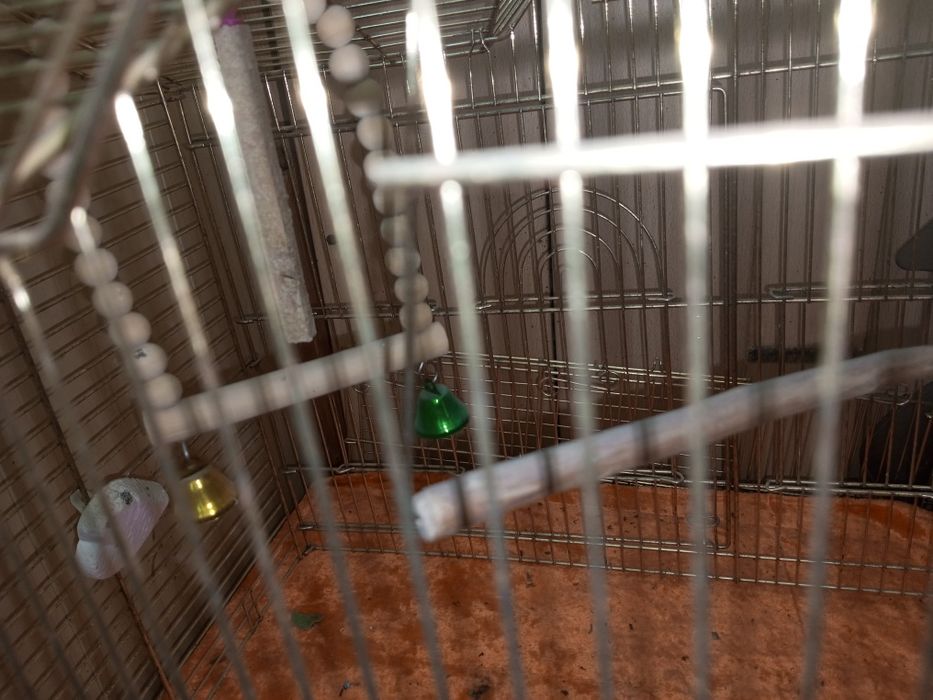 Клетка для попугаев