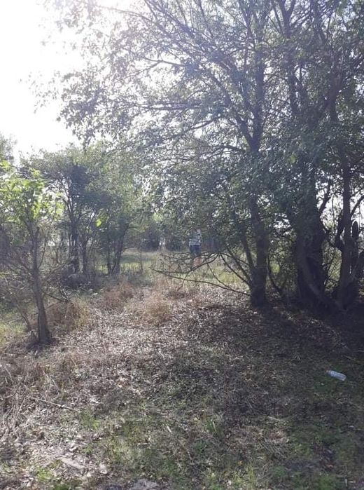 Продава се Парцел в с. Бояново, Област Ямбол - 755 кв.м за 5 €/кв.м - Снимка #2