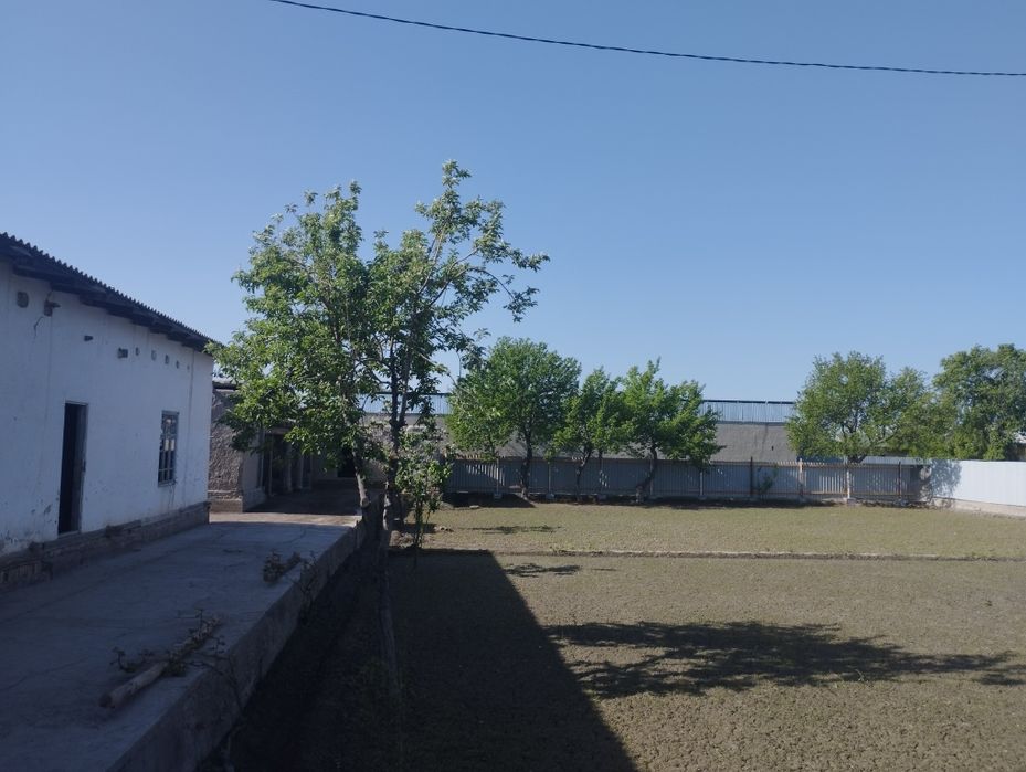 Hovli sotiladi 15 sotix