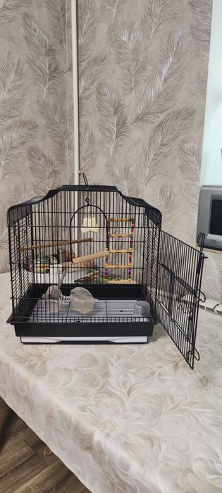 Продам клетку для мелких и средних попугаев.