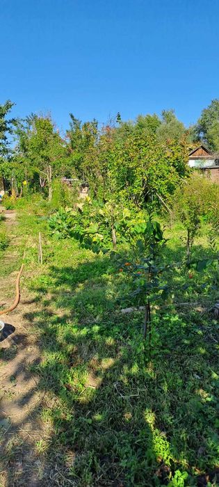 Продам дачу, район Телецентра СО "Кристалл"