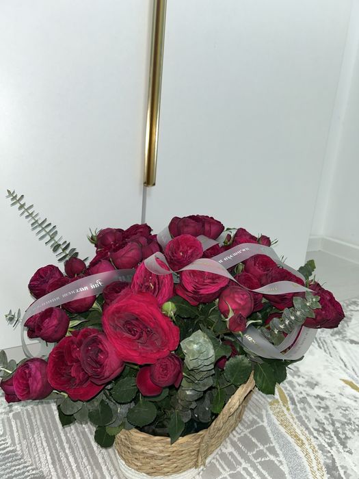 город Алматы,свежи,өте әдемі