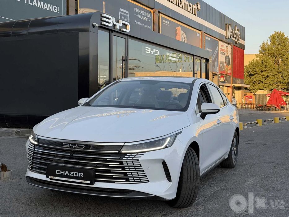 Byd Chazor 2024