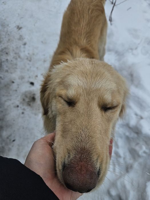 В хорошие руки кабель