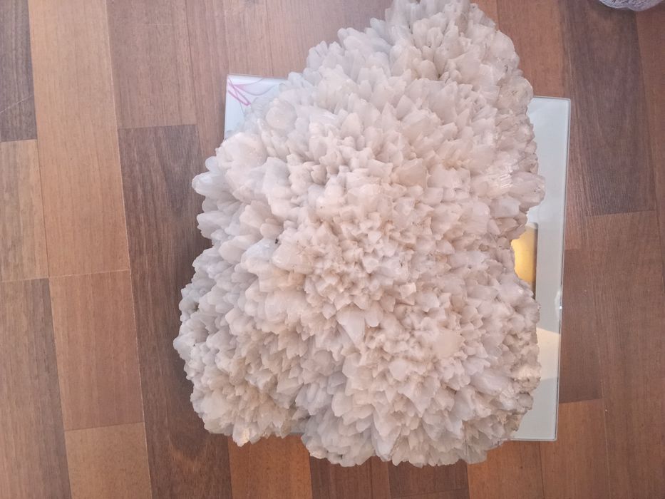 Vând flori de mina .floarea intunericului Preț 6000