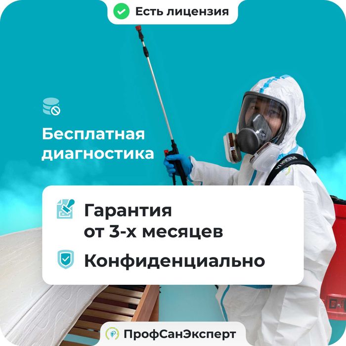 Уничтожение клопов тараканов мышей жучков ос клещей плесени блох