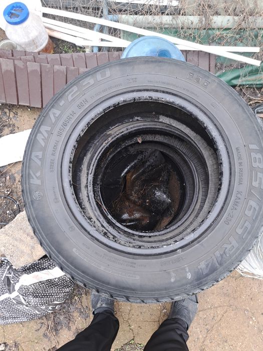 Продам покрыжки.