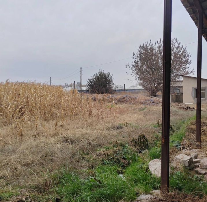 Готовый агробизнес: тепличная ферма в Назарбеке